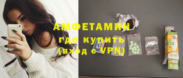 индика Бердск