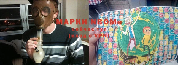 индика Бердск