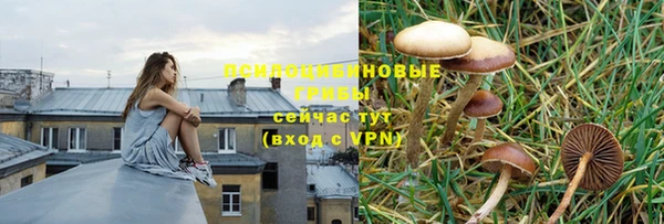 альфа пвп Артём