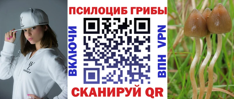 Галлюциногенные грибы мухоморы  где купить наркотик  kraken маркетплейс  Санкт-Петербург 