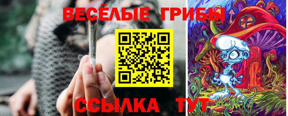 Галлюциногенные грибы мицелий  Вход с VPN  Санкт-Петербург  Псилоцибиновые грибы GOLDEN TEACHER 