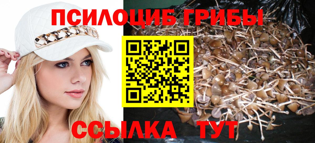 Псилоцибиновые грибы ЛСД Санкт-Петербург