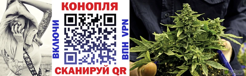 купить   Санкт-Петербург  площадка официальный сайт  Канабис конопля 